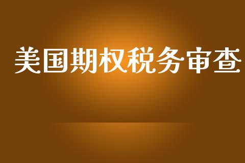 美国期权税务审查_https://wap.qdlswl.com_财经资讯_第1张