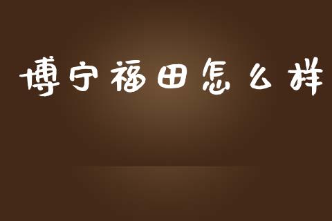 博宁福田怎么样_https://wap.qdlswl.com_全球经济_第1张