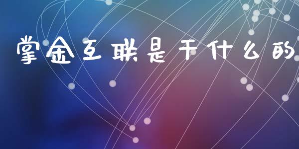 掌金互联是干什么的_https://wap.qdlswl.com_全球经济_第1张