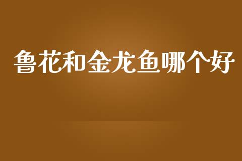 鲁花和金龙鱼哪个好_https://wap.qdlswl.com_理财投资_第1张