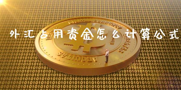 外汇占用资金怎么计算公式_https://wap.qdlswl.com_证券新闻_第1张