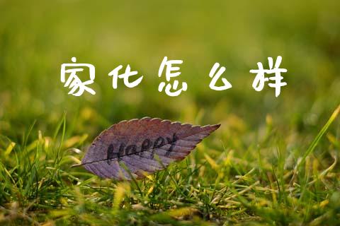 家化怎么样_https://wap.qdlswl.com_全球经济_第1张