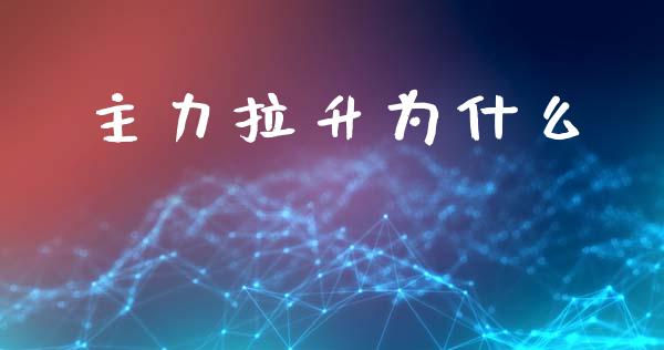 主力拉升为什么_https://wap.qdlswl.com_全球经济_第1张