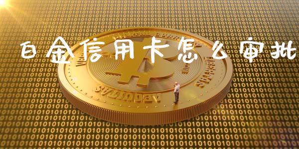 白金信用卡怎么审批_https://wap.qdlswl.com_全球经济_第1张