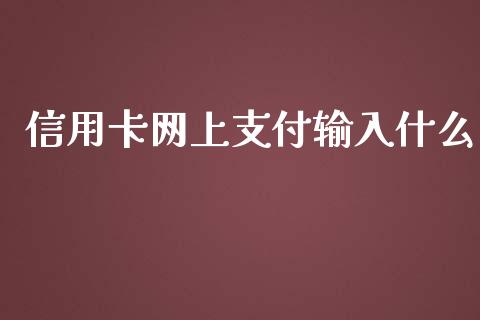 信用卡网上支付输入什么_https://wap.qdlswl.com_理财投资_第1张