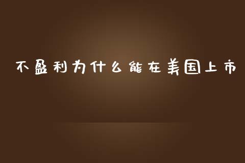 不盈利为什么能在美国上市_https://wap.qdlswl.com_证券新闻_第1张