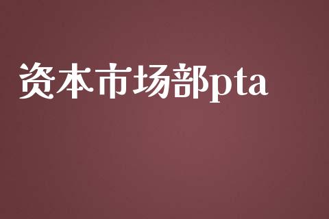 资本市场部pta_https://wap.qdlswl.com_全球经济_第1张