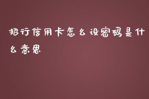 招行信用卡怎么设密码是什么意思_https://wap.qdlswl.com_理财投资_第1张