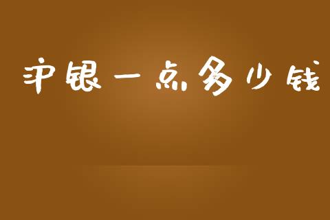 沪银一点多少钱_https://wap.qdlswl.com_证券新闻_第1张