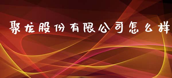 聚龙股份有限公司怎么样_https://wap.qdlswl.com_理财投资_第1张