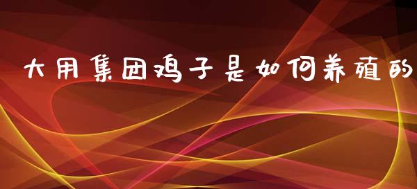 大用集团鸡子是如何养殖的_https://wap.qdlswl.com_证券新闻_第1张