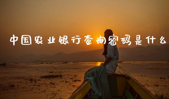 中国农业银行查询密码是什么_https://wap.qdlswl.com_财经资讯_第1张