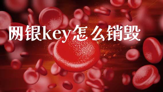 网银key怎么销毁_https://wap.qdlswl.com_全球经济_第1张