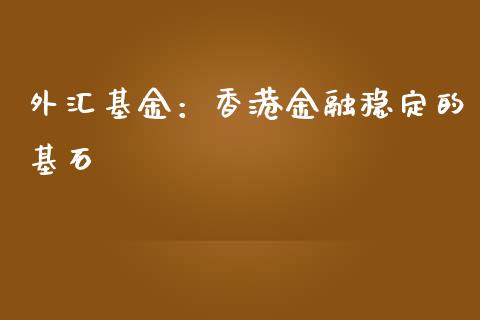 外汇基金：香港金融稳定的基石_https://wap.qdlswl.com_证券新闻_第1张