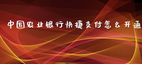 中国农业银行快捷支付怎么开通_https://wap.qdlswl.com_证券新闻_第1张