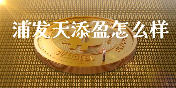 浦发天添盈怎么样_https://wap.qdlswl.com_理财投资_第1张