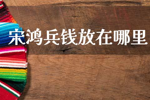 宋鸿兵钱放在哪里_https://wap.qdlswl.com_财经资讯_第1张
