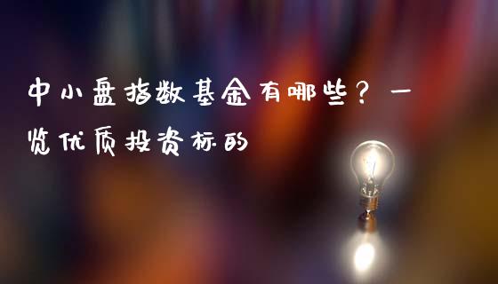 中小盘指数基金有哪些？一览优质投资标的_https://wap.qdlswl.com_全球经济_第1张