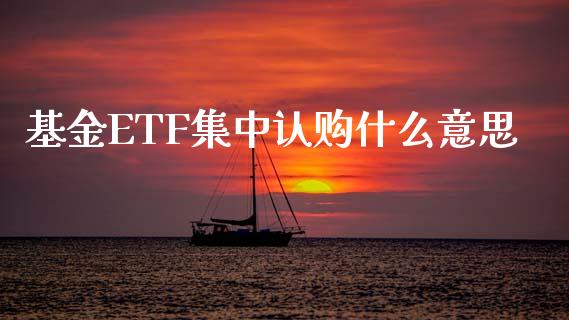 基金ETF集中认购什么意思_https://wap.qdlswl.com_财经资讯_第1张