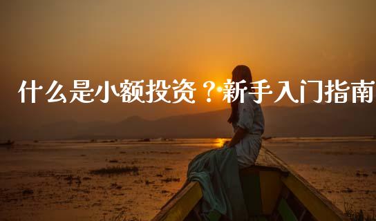 什么是小额投资？新手入门指南_https://wap.qdlswl.com_财经资讯_第1张