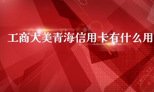 工商大美青海信用卡有什么用_https://wap.qdlswl.com_证券新闻_第1张