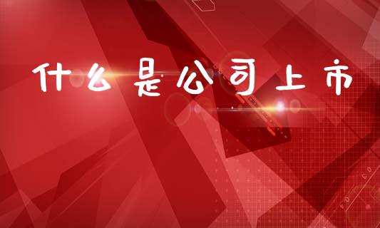 什么是公司上市_https://wap.qdlswl.com_全球经济_第1张
