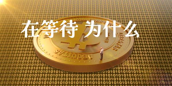 在等待 为什么_https://wap.qdlswl.com_理财投资_第1张