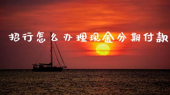 招行怎么办理现金分期付款_https://wap.qdlswl.com_全球经济_第1张
