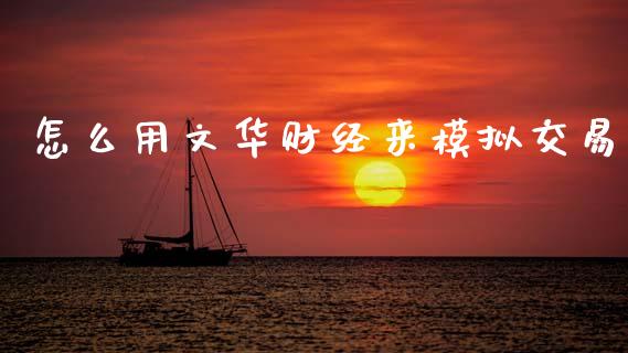 怎么用文华财经来模拟交易_https://wap.qdlswl.com_理财投资_第1张