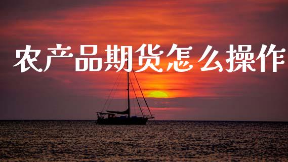 农产品期货怎么操作_https://wap.qdlswl.com_理财投资_第1张