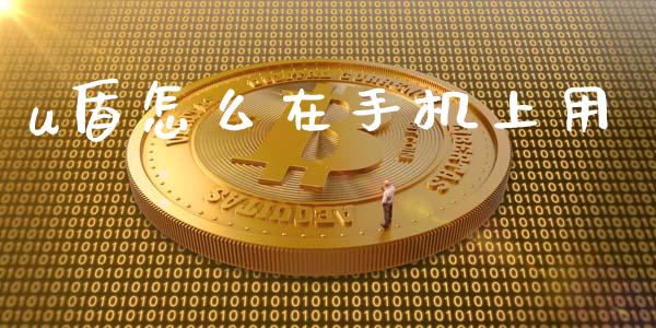 u盾怎么在手机上用_https://wap.qdlswl.com_证券新闻_第1张