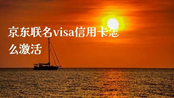 京东联名visa信用卡怎么激活_https://wap.qdlswl.com_全球经济_第1张