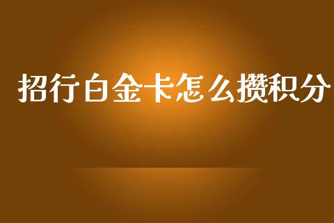 招行白金卡怎么攒积分_https://wap.qdlswl.com_理财投资_第1张