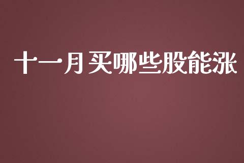 十一月买哪些股能涨_https://wap.qdlswl.com_财经资讯_第1张