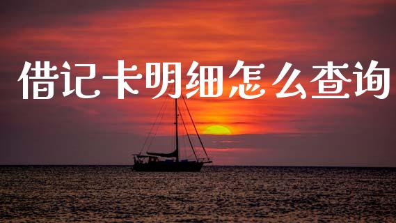 借记卡明细怎么查询_https://wap.qdlswl.com_理财投资_第1张