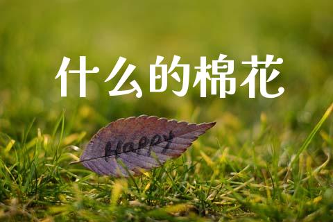 什么的棉花_https://wap.qdlswl.com_全球经济_第1张