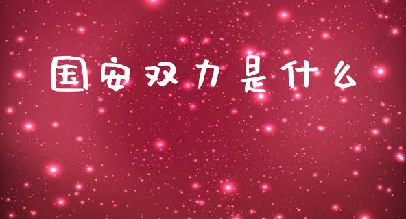 国安双力是什么_https://wap.qdlswl.com_证券新闻_第1张