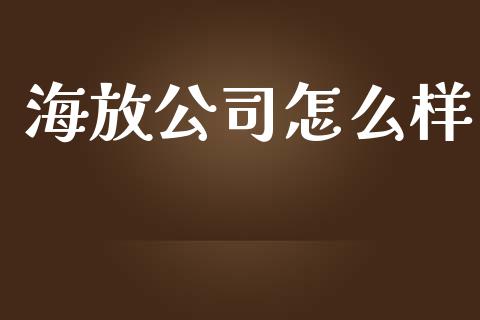 海放公司怎么样_https://wap.qdlswl.com_理财投资_第1张