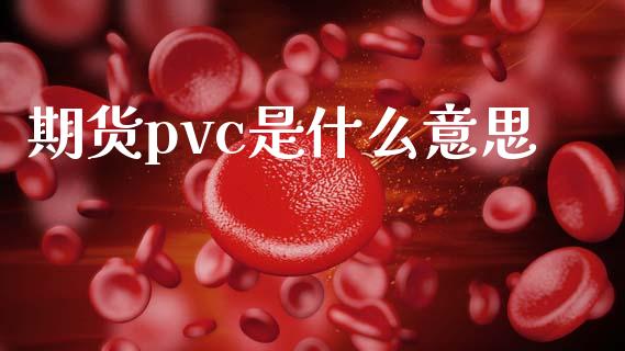 期货pvc是什么意思_https://wap.qdlswl.com_财经资讯_第1张