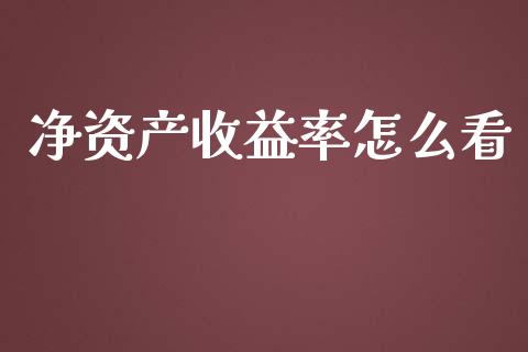 净资产收益率怎么看_https://wap.qdlswl.com_全球经济_第1张