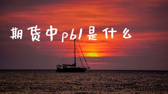 期货中pb1是什么_https://wap.qdlswl.com_证券新闻_第1张