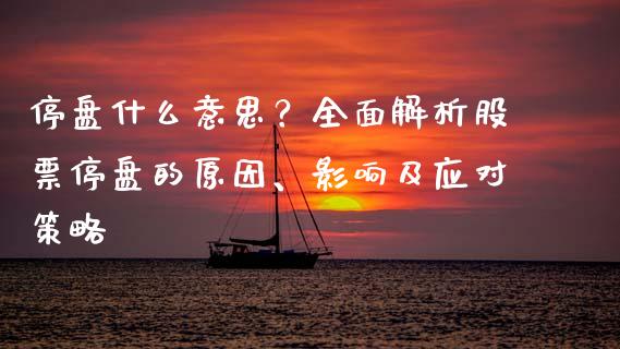 停盘什么意思？全面解析股票停盘的原因、影响及应对策略_https://wap.qdlswl.com_证券新闻_第1张