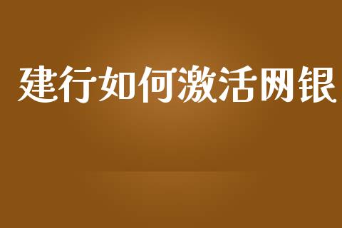 建行如何激活网银_https://wap.qdlswl.com_财经资讯_第1张