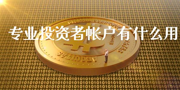 专业投资者帐户有什么用_https://wap.qdlswl.com_财经资讯_第1张