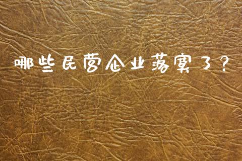 哪些民营企业落寞了？_https://wap.qdlswl.com_证券新闻_第1张