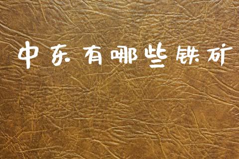 中东有哪些铁矿_https://wap.qdlswl.com_理财投资_第1张