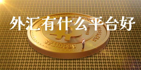 外汇有什么平台好_https://wap.qdlswl.com_全球经济_第1张