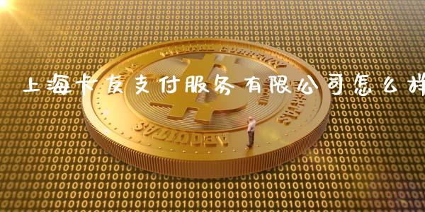 上海卡友支付服务有限公司怎么样_https://wap.qdlswl.com_财经资讯_第1张