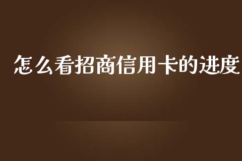 怎么看招商信用卡的进度_https://wap.qdlswl.com_证券新闻_第1张