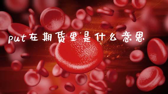 put在期货里是什么意思_https://wap.qdlswl.com_全球经济_第1张